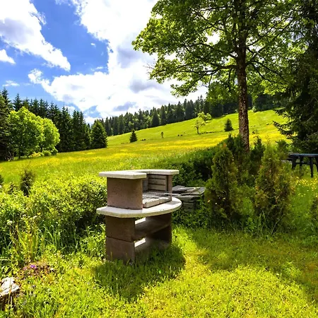 Bergzeit - 60m² Direkt Am Skihang In Carlsfeld